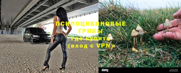 прущий лед Белокуриха