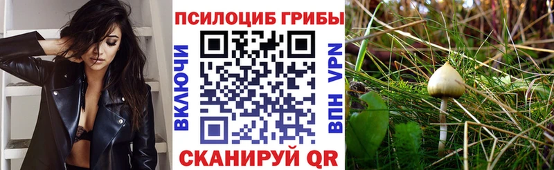 Галлюциногенные грибы MAGIC MUSHROOMS  Усть-Илимск 